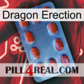 Dragon Erection 06